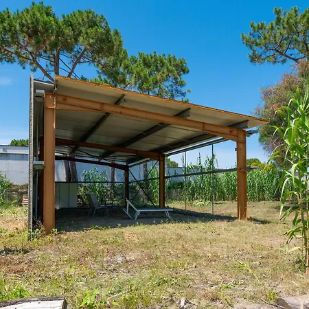 La Dolce 3 - Le Mimosa * Borgo (Corsica)